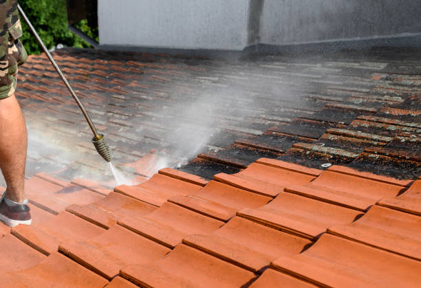 Best Pressure Washing Estimates  in Cologne, NJ