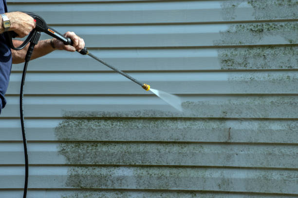 Best Roof Power Washing Services  in Cologne, NJ