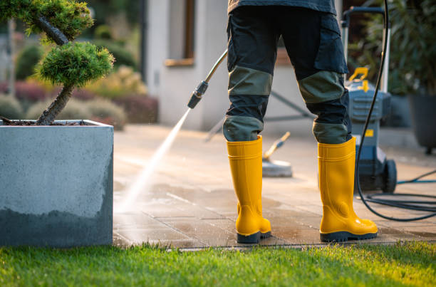 Best Power Washing Near Me  in Cologne, NJ